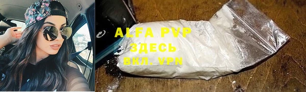 прущий лед Алзамай