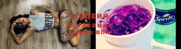 прущий лед Алзамай