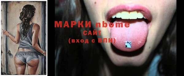 прущий лед Алзамай