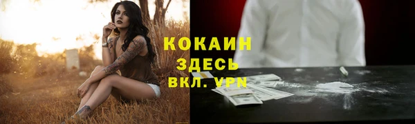 прущий лед Алзамай