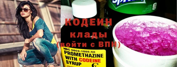 прущий лед Алзамай
