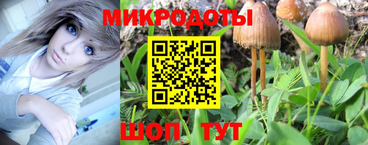 Краснокамск  Псилоцибиновые грибы GOLDEN TEACHER  как найти   Вход с VPN 