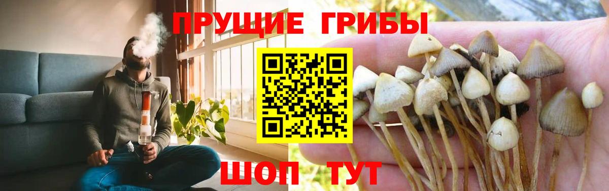 Псилоцибиновые грибы мухоморы Краснокамск